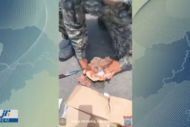 Imagem ilustrativa da imagem Inusitado: polícia encontra drogas escondidas em frangos congelados em Noronha