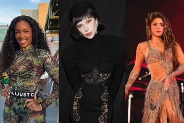 Imagem ilustrativa da imagem Iza, Lady Gaga e Shakira: nomes de cantoras dominam batismo de pets no Brasil