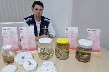 Imagem ilustrativa da imagem Mais de 5 mil foram picados por cobras, aranhas e escorpiões este ano no ES