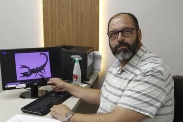 Imagem ilustrativa da imagem Mais de 5 mil foram picados por cobras, aranhas e escorpiões este ano no ES