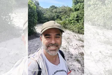 Imagem ilustrativa da imagem Mais de 5 mil foram picados por cobras, aranhas e escorpiões este ano no ES
