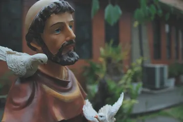 Imagem ilustrativa da imagem Missas para celebrar São Francisco e bênção dos animais