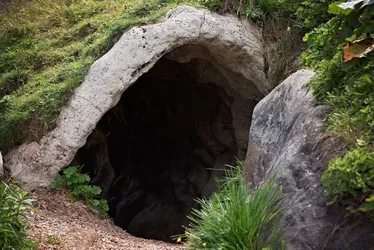 Imagem ilustrativa da imagem Mulher encontrada vivendo em caverna na Índia com as filhas retorna para a Rússia