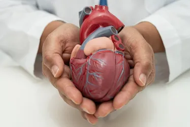 Imagem ilustrativa da imagem Nova diretriz prioriza saúde cardiovascular no tratamento da obesidade