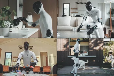 Imagem ilustrativa da imagem Nova geração de robôs lava, passa e arruma a casa