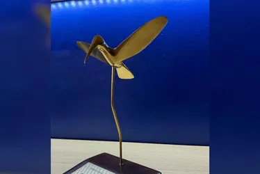 Imagem ilustrativa da imagem O que você precisa saber sobre o Prêmio Colibri 2025