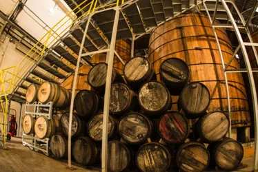 Imagem ilustrativa da imagem Pitú: o sol líquido que aquece ainda mais Pernambuco e conquista a Europa