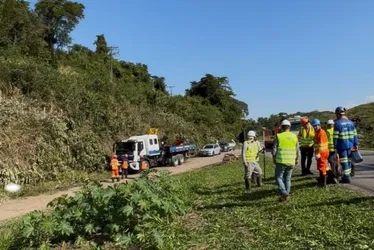 Imagem ilustrativa da imagem Obras de duplicação da BR-101 começam no Sul do ES