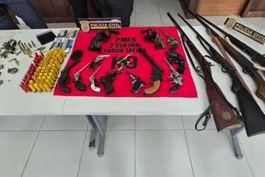 Imagem ilustrativa da imagem Operação Desarme apreende 16 armas e prende dois suspeitos em Afonso Cláudio