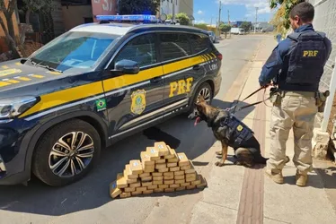 Imagem ilustrativa da imagem PRF apreende 50 tabletes de pasta base de cocaína em Baixo Guandu