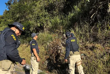 Imagem ilustrativa da imagem PRF inicia perícia para identificar causas do acidente na BR-423, em Saloá