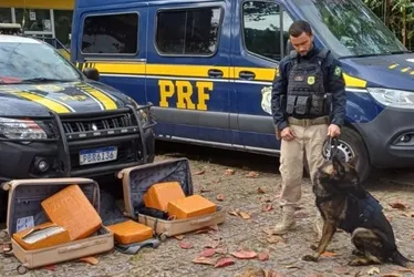 Imagem ilustrativa da imagem PRF prende passageiro transportando 52 kg de drogas, em Guarapari