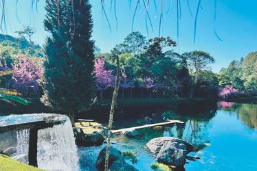 Imagem ilustrativa da imagem Paisagens de tirar o fôlego e gastronomia em Ibitirama, no Caparaó Capixaba