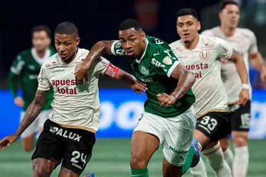 Imagem ilustrativa da imagem Palmeiras confirma vaga, e Brasil tem três times nas quartas da Libertadores