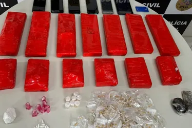Imagem ilustrativa da imagem Polícia apreende mais de 10 kg de maconha em residência de Castelo