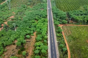 Imagem ilustrativa da imagem Quando o passado pesa, mas o futuro insiste: a reinvenção de Floresta