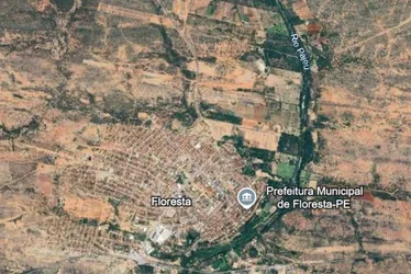Imagem ilustrativa da imagem Quando o passado pesa, mas o futuro insiste: a reinvenção de Floresta