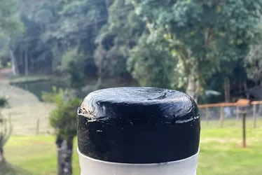 Imagem ilustrativa da imagem Queijo a base de leites de cabra e de ovelha é eleito o melhor do ES