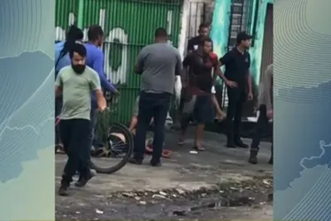Imagem ilustrativa da imagem Recife mais um ataque de pitbull: até quando ignorar os riscos da raça?