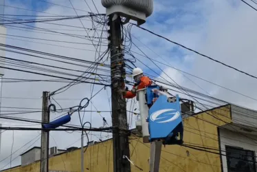 Imagem ilustrativa da imagem Roubo de energia. Neoenergia Pernambuco remove mais de 500 "macacos" por dia