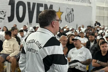 Imagem ilustrativa da imagem Santos inicia procura de naming rights com WTorre e avança em estudos para SAF