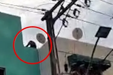 Imagem ilustrativa da imagem Suspeito de roubar bicicleta sobe em terraço de prédio pra fugir de agressões