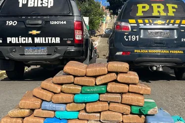 Imagem ilustrativa da imagem Suspeitos de tráfico se envolvem em batida de carro e são detidos em Caruaru