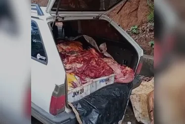 Imagem ilustrativa da imagem Polícia apreende 390 kg de carne de cavalo que seriam para churrasquinhos no ES