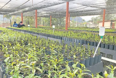 Imagem ilustrativa da imagem Sustentabilidade para inovar e transformar a mineração