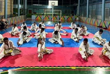 Imagem ilustrativa da imagem Taekwondo Solidário abre nova temporada em Vitória
