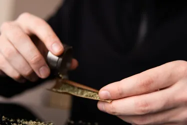 Imagem ilustrativa da imagem Usuário flagrado com até 40 g de maconha terá de comparecer ao Cais em 30 dias