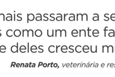Imagem ilustrativa da imagem Vida Pet: como tratar as doenças que mais atingem os animais