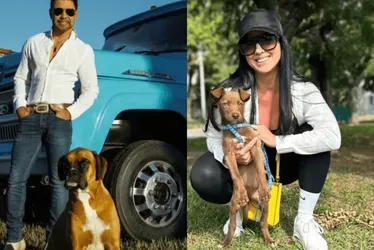 Imagem ilustrativa da imagem Zezé Di Camargo passa a abrigar cães abandonados em fazenda
