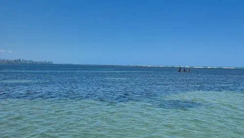 
          Imagem ilustrativa da imagem 12 trechos de praias em Pernambuco estão "impróprios para banho"
          