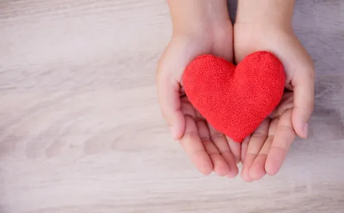 
          Imagem ilustrativa da imagem 170 pessoas vão a cartórios para expressar desejo de doar órgãos no ES
          