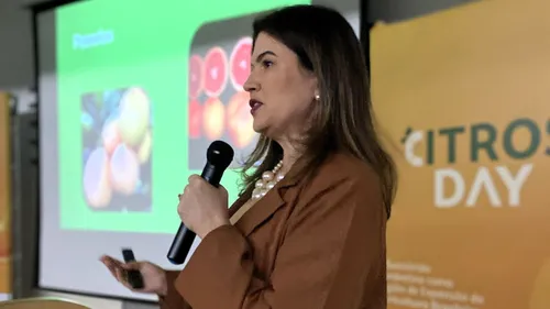 
          Imagem ilustrativa da imagem A Califórnia brasileira que floresce no Vale do São Francisco
          