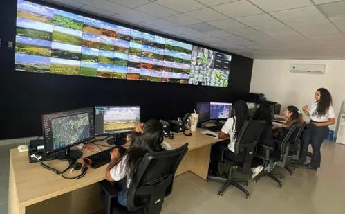 
          Imagem ilustrativa da imagem Ação humana provoca 90% dos incêndios florestais
          