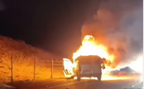 
          Imagem ilustrativa da imagem Acidentes entre veículos e vacas deixa ferido e um morto no Norte e Noroeste do ES
          