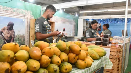 
          Imagem ilustrativa da imagem Agrinordeste começa nesta quinta-feira (4). Confira a programação:
          