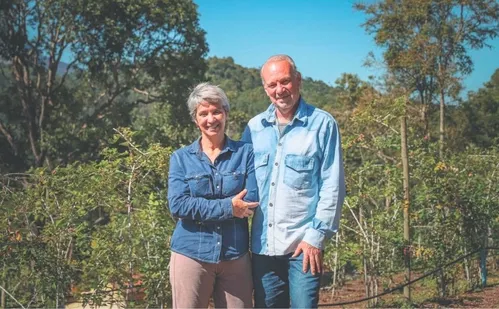 
          Imagem ilustrativa da imagem Aposentados ganham a vida com o cultivo de frutas vermelhas no ES
          
