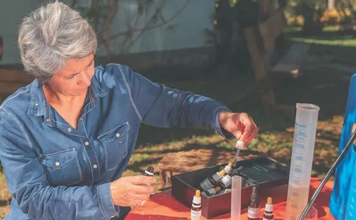 
          Imagem ilustrativa da imagem Aposentados ganham a vida com o cultivo de frutas vermelhas no ES
          