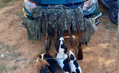 
          Imagem ilustrativa da imagem Caçadores são detidos com cães e arsenal e R$ 14 mil no ES
          