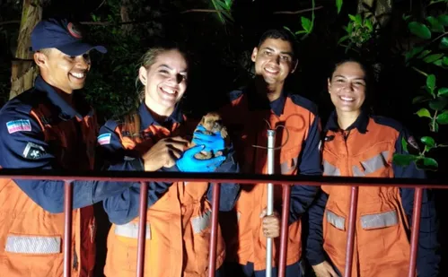 
          Imagem ilustrativa da imagem Cachorrinha com 20 dias de vida é resgatada pelos bombeiros em tubulação na Serra
          