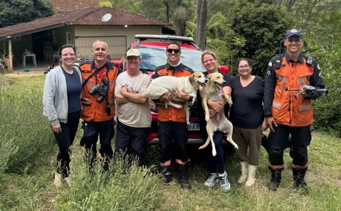 
          Imagem ilustrativa da imagem Cadelas são resgatadas de paredão de 60 metros na Região Serrana do ES
          