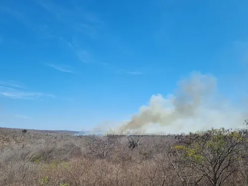 
          Imagem ilustrativa da imagem Calor e baixa umidade aumentam risco de incêndios florestais em Pernambuco
          