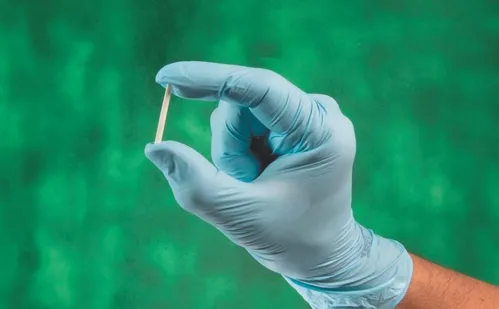 
          Imagem ilustrativa da imagem “Chip da beleza” pode deixar a voz mais grossa, como aconteceu com Virgínia?
          