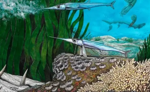 
          Imagem ilustrativa da imagem Cientistas brasileiros identificam nova espécie de peixe pré-histórico
          