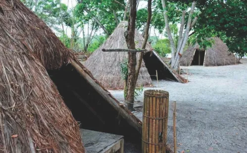 
          Imagem ilustrativa da imagem Cinco mil pessoas em Aracruz para debater sobre mudanças climáticas
          