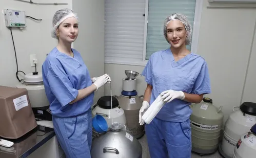 
          Imagem ilustrativa da imagem Mulheres adiam gravidez e clínicas têm óvulos congelados há 27 anos
          