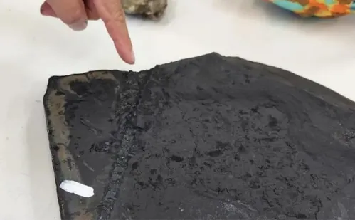 
          Imagem ilustrativa da imagem Como fósseis de lagarto mais antigo que dinossauros impediram obra em rodovia no PR
          